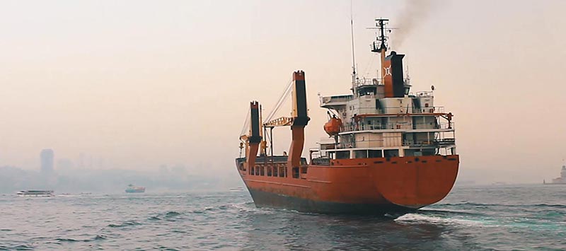 Procurement & Shipping Procurement & Shipping
